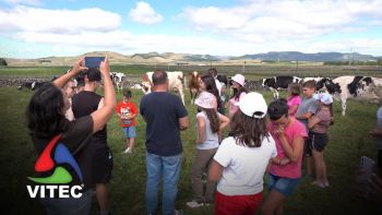 Dia Internacional da Juventude com visita a explorações da Rota do Leite e do Queijo - 1.ª Parte