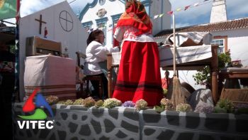 Bodo de leite, no Porto Martins, inova com carros alegóricos