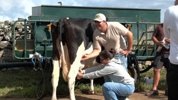 Anselmo Pires: mais de 20 anos na vida agrícola e com a conversão para o biológico