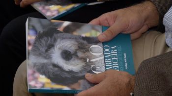 Percurso do cão Barbado da Terceira registado em livro com o objetivo de internacionalizar a raça