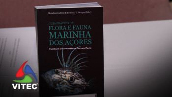 Coleção de guias práticos dos Açores com novo volume a retratar a biodiversidade marinha