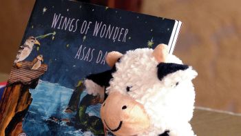 Livro infantil "Asas da Maravilha" retrata a história da emigração açoriana para as Bermudas