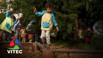 Praça Velha transformada numa floresta para deixar raízes para o futuro