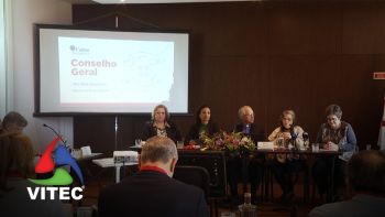 Cáritas dos Açores pede aos cristãos mais envolvimento no apoio aos necessitados