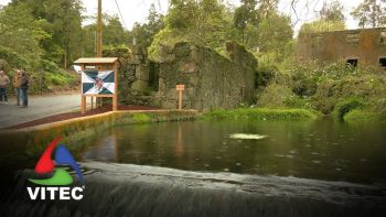 Novo trilho, em Angra do Heroísmo, promove a natureza e a importância da água