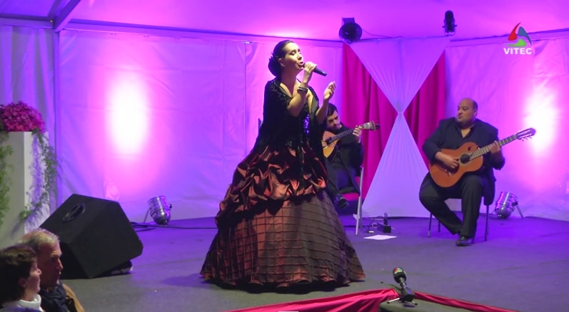 Brevemente Vozes do Fado na Praça Velha - Terceira Dimensão 150