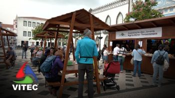 Dia do Jovem Agricultor Terceirense de regresso após hiato de dez anos