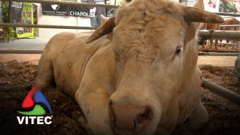 30 anos de AGROTER com reivindicações à volta do atraso de pagamentos