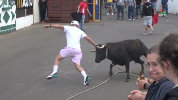 Touradas e vacada no Largo de São João 2025 - Vila das Lajes