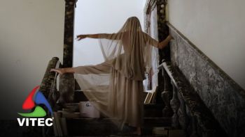 Festival artístico e cultural Rua Direita debruça-se sobre o fenómeno das migrações