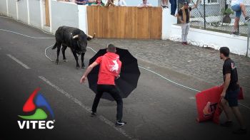 Tourada no Raminho a 16 de junho de 2025