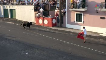 Tourada na Vila Nova a 1 de julho de 2025