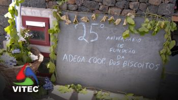 Adega Cooperativa dos Biscoitos precisa de soluções para vários problemas