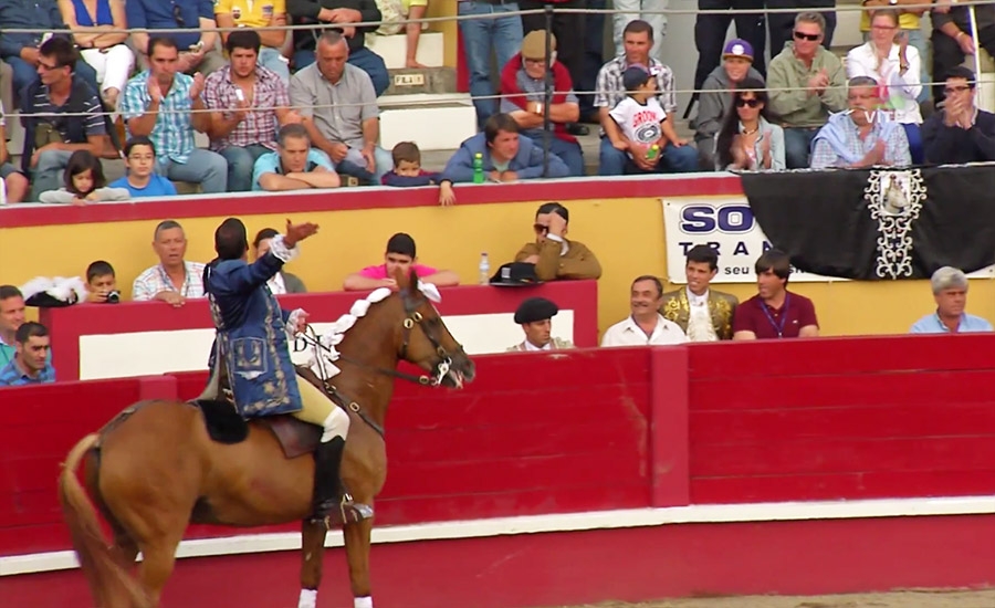 Visita guiada à Praça de Toiros da Ilha Terceira