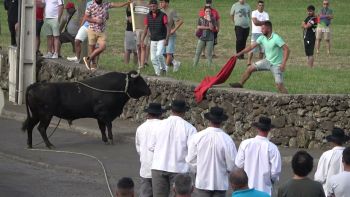Tourada na Casa da Ribeira a 12 de julho de 2025