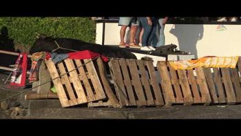 Tourada nos Biscoitos a 17 de julho de 2025