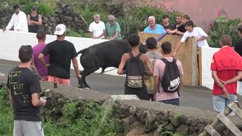 Tourada na Feteira a 22 de julho de 2025