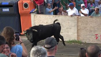 Tourada no Areeiro nas Fontinhas a 1 de agosto de 2025