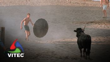 Tourada à Corda no Areal da Praia Grande nas Festas da Praia 2025