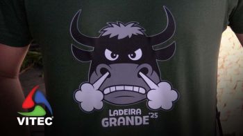 Há cada vez mais adeptos da t-shirt na vacada da Ladeira Grande, Ribeirinha