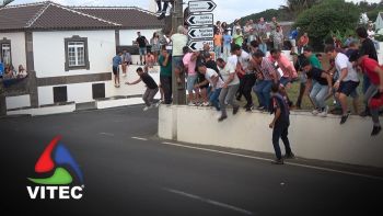 Concurso de ganadarias em São Brás a 27 de agosto de 2025