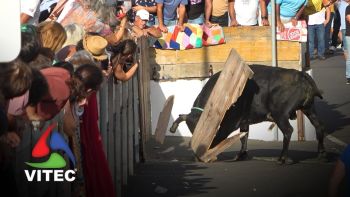 Tourada em São Brás a 26 de agosto de 2025