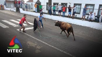 Tourada no Raminho a 3 de setembro de 2025