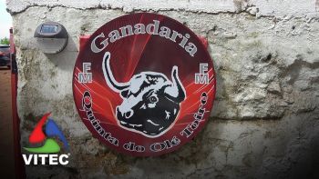 Festa na Ganadaria Olé Toiro a 4 de setembro de 2025