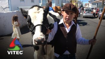 Bodo de Leite nas Festas do Raminho com homenagem a Álamo Oliveira