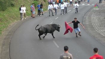 Tourada em Santa Luzia a 11 de setembro de 2025