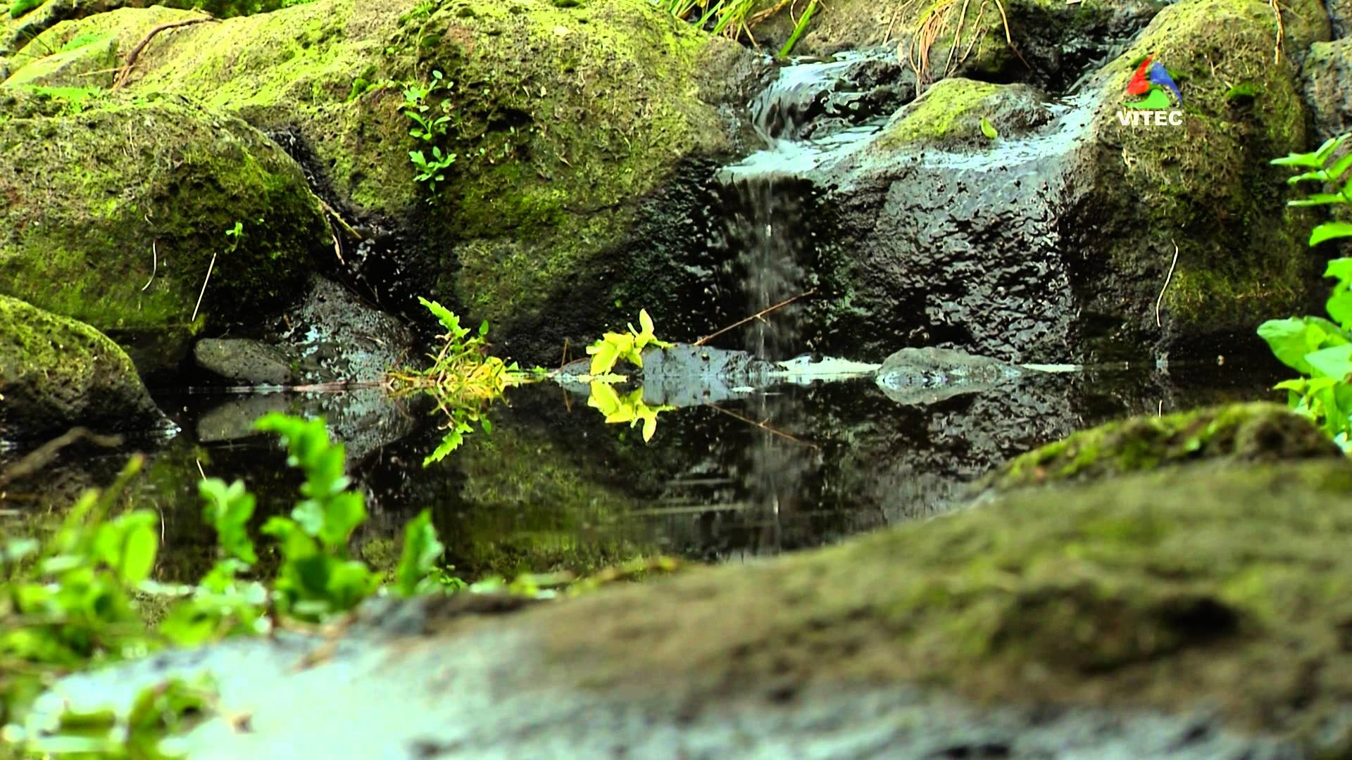 Visita à freguesia de Santa Bárbara - Terceira Dimensão 171