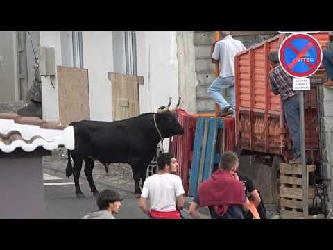 Tourada no Pesqueiro em São Bartolomeu