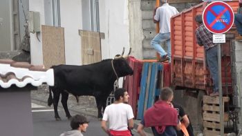 Tourada no Pesqueiro em São Bartolomeu