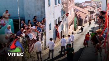 Tourada do Donato Parreira, na Serra da Ribeirinha