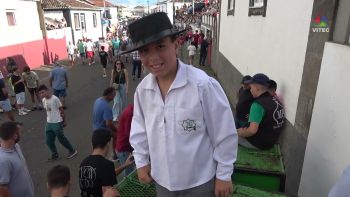 Vacada na Vila das Lajes a 10 de outubro de 2025