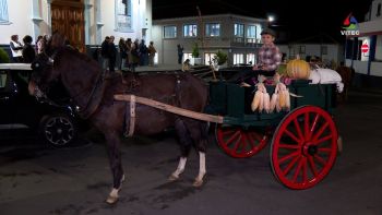 Agualva volta a relembrar as tradições de outono numa noite em defesa da cultura terceirense
