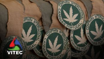 Confraria Internacional de Cannabis com entronização na Ilha Terceira