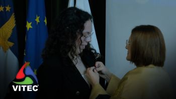 Universidade dos Açores celebra 50 anos