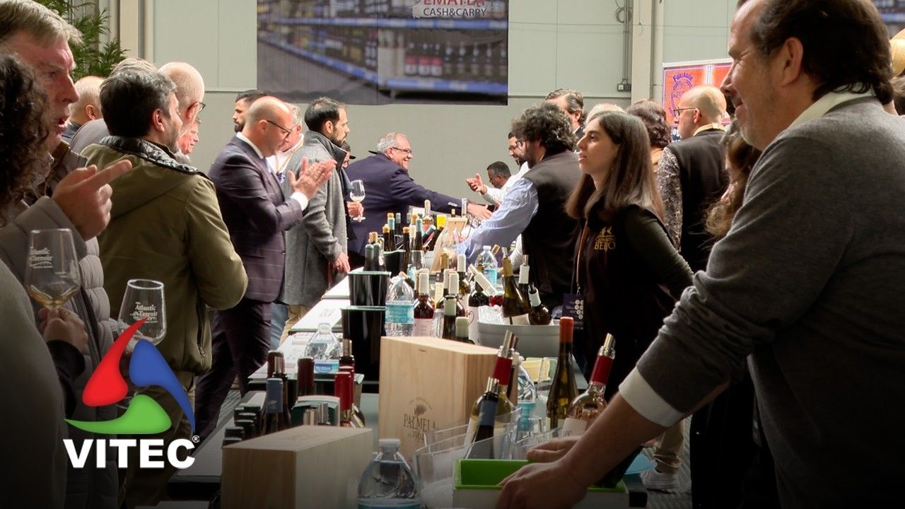 Expo Atlantic Terroir caminha para a sua segunda edição