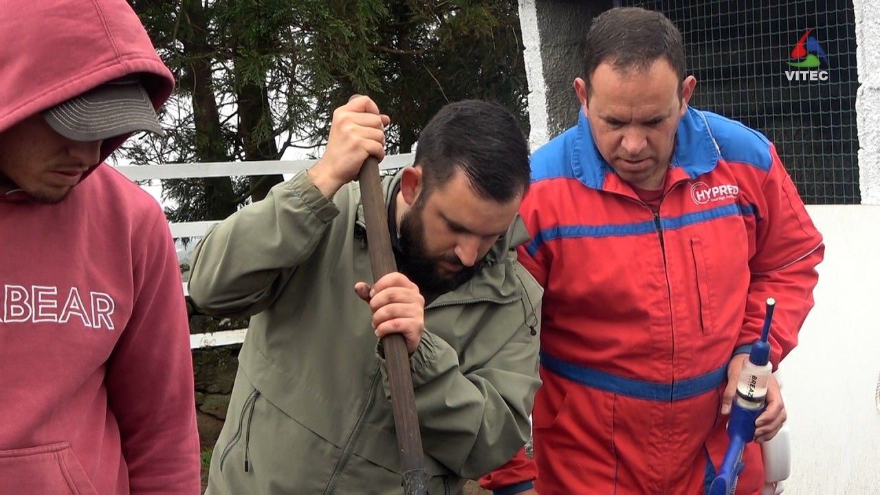 Dia de Ferra na Ganadaria de António Lúcio Ferreira como preparação para mais uma época de touradas