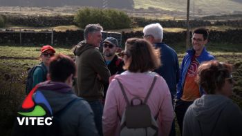 Trilhos promovem passagem por diversas explorações de boviniculturaa