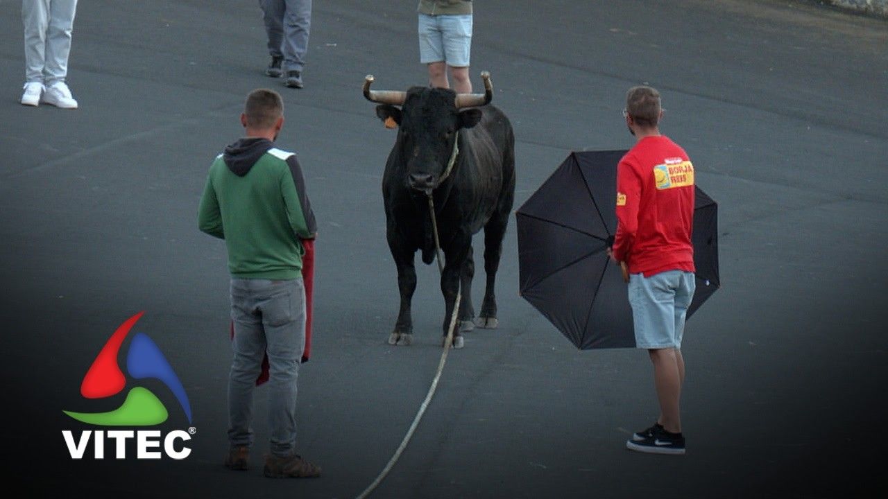 Tourada a 1 de maio na Fonte da Ribeirinha 2026 - 3ª Parte