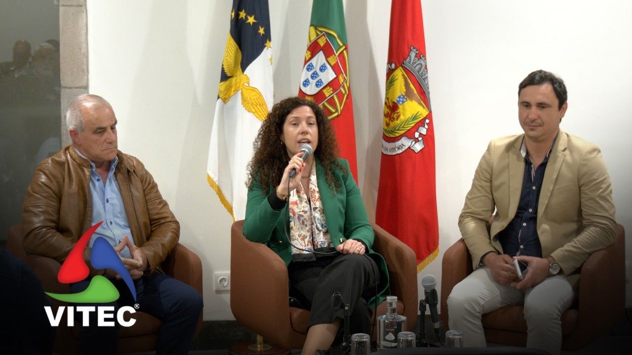 Sete touradas à corda, Corrida de Toiros, vacada e largada para crianças nas Festas da Praia 2026