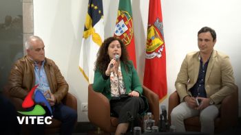 Sete touradas à corda, Corrida de Toiros, vacada e largada para crianças nas Festas da Praia 2026