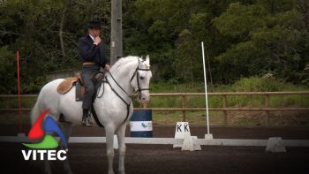 Associação Açoreana de Criadores de Cavalos com clínica de reprodução equina