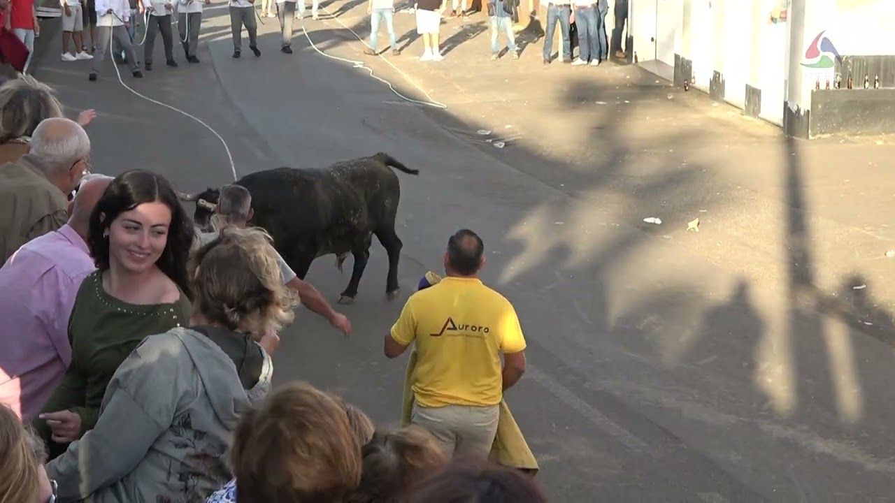 Tourada nos Altares a 25 de maio