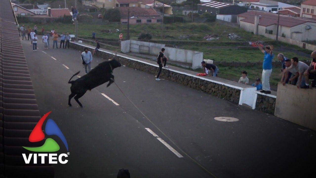 Tourada em Santa Rita a 23 de maio