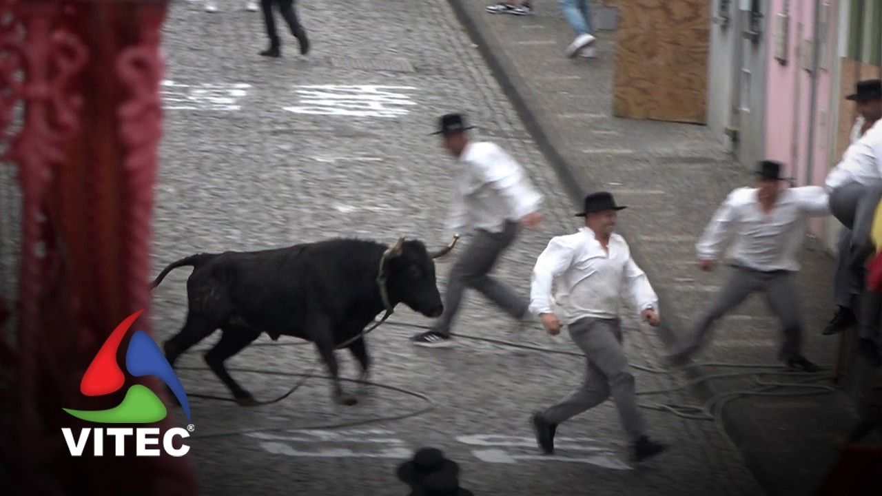 Tourada no Rossio, na Praia da Vitória, a 28 de maio