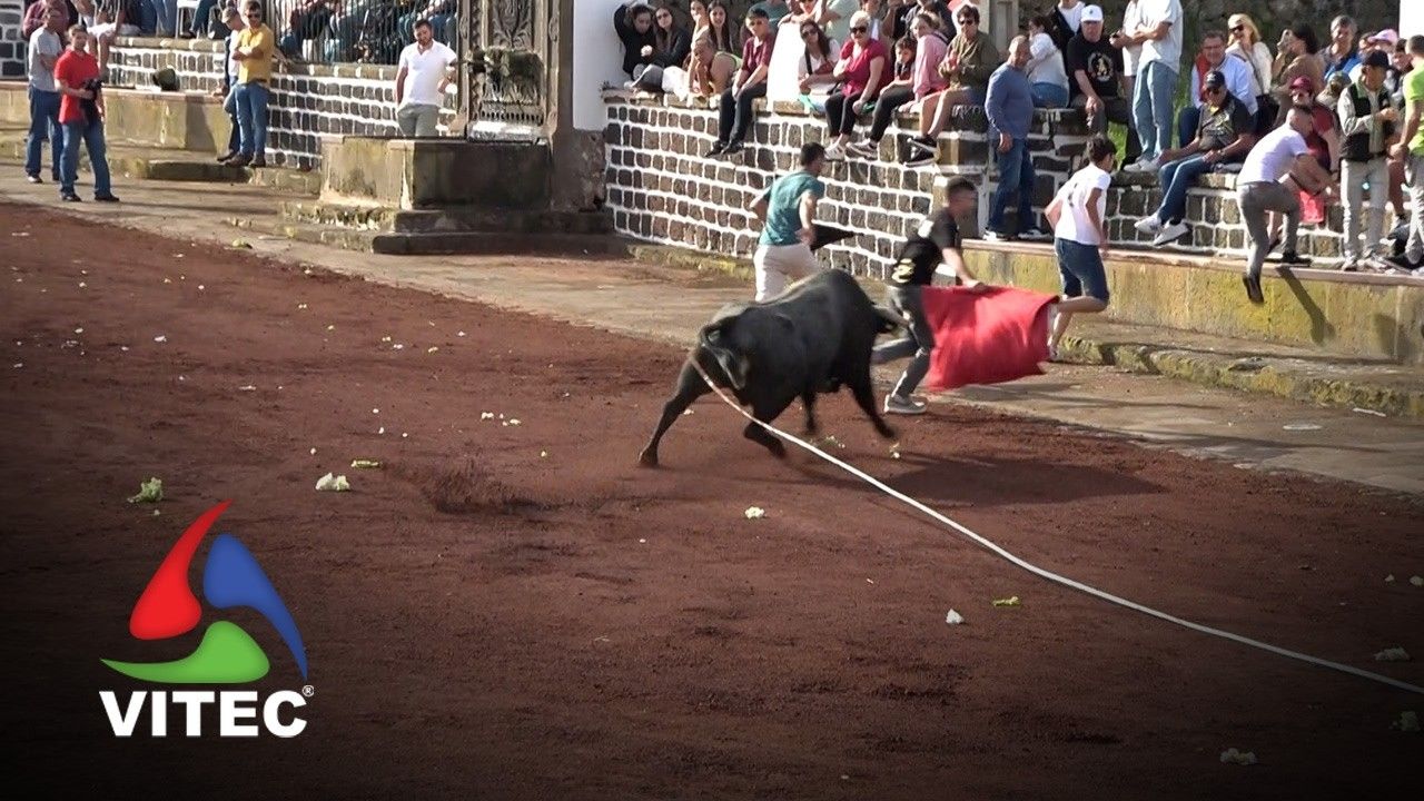 Tourada no Largo da Fonte em São Sebastião a 2 de Junho
