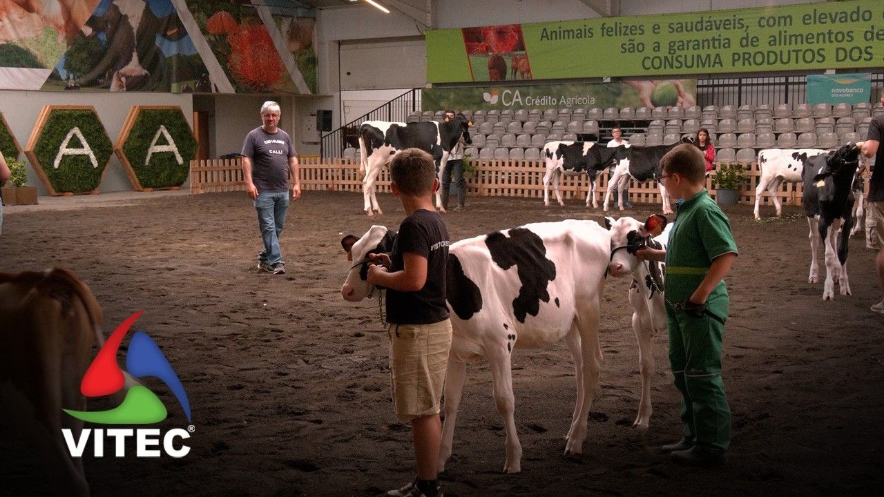Feira Agrícola Açores defende o setor agrícola como motor de desenvolvimento económico